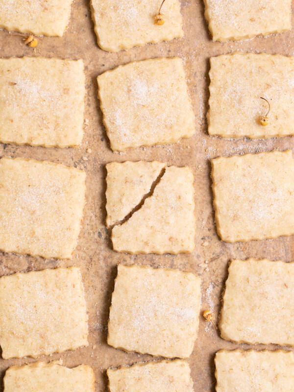 Chamomile shortbread cookies, with one broken in half