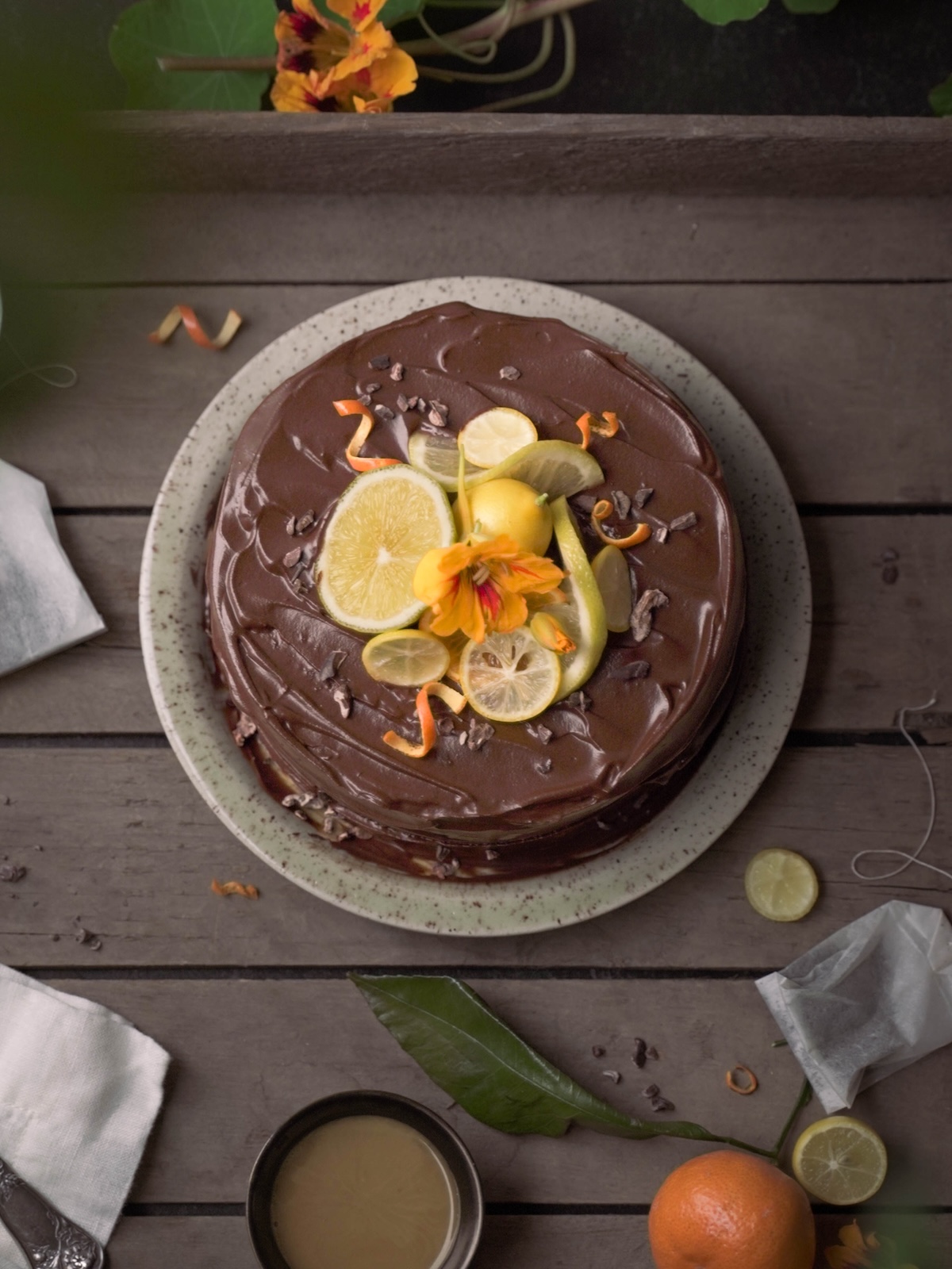 Top view of a cake with chocolate frosting and citrus