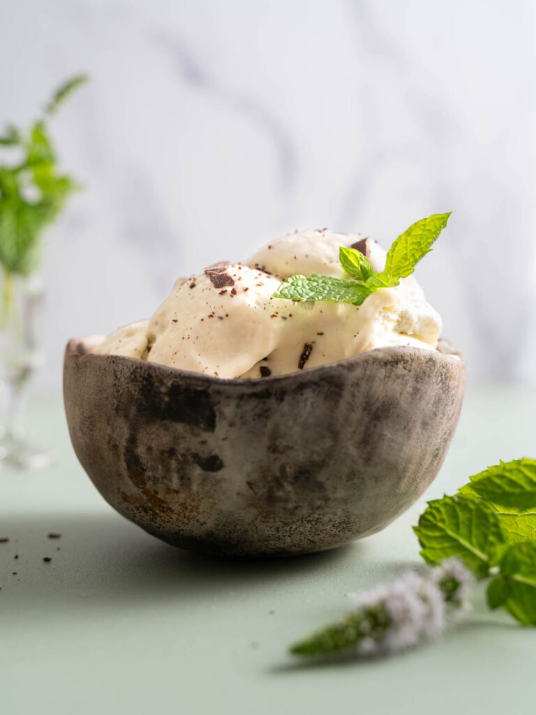 A small bowl of fresh mint chocolate chunk ice cream
