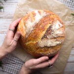 Hands holding a freshly baked loaf of rosemary sourdough bread