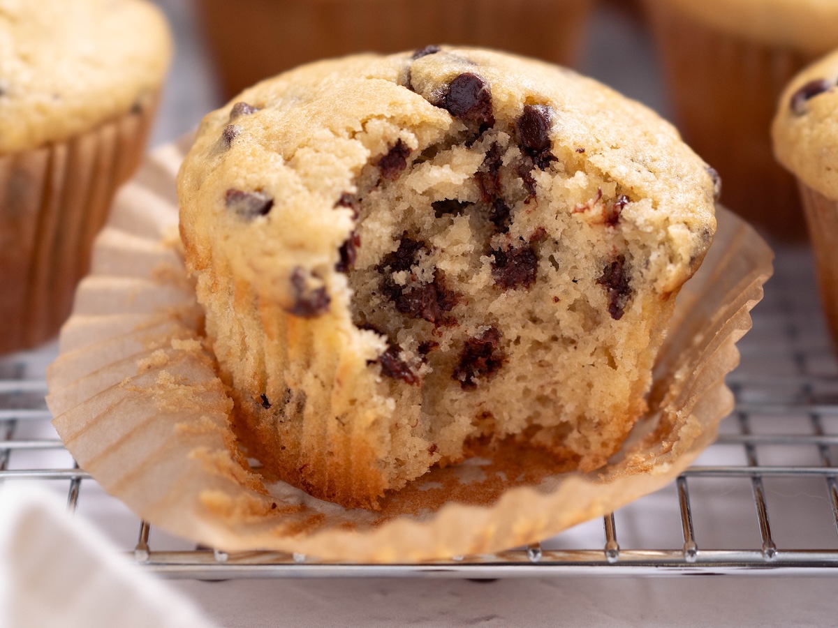 A bite taken out of a sourdough discard muffin chocolate chip muffin