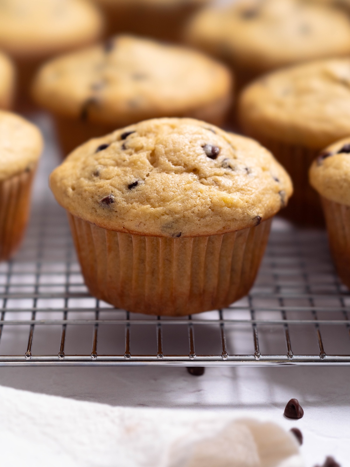 A batch of freshly baked muffins on a cooling rack