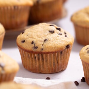 A batch of banana sourdough chocolate chip muffins