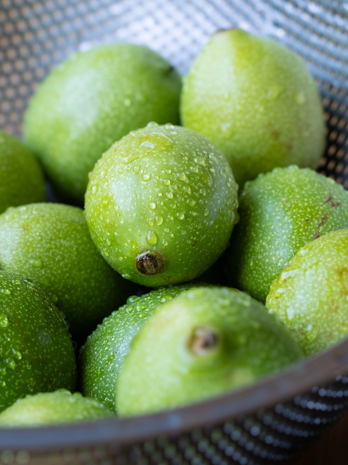 Green walnuts, washed in a colander