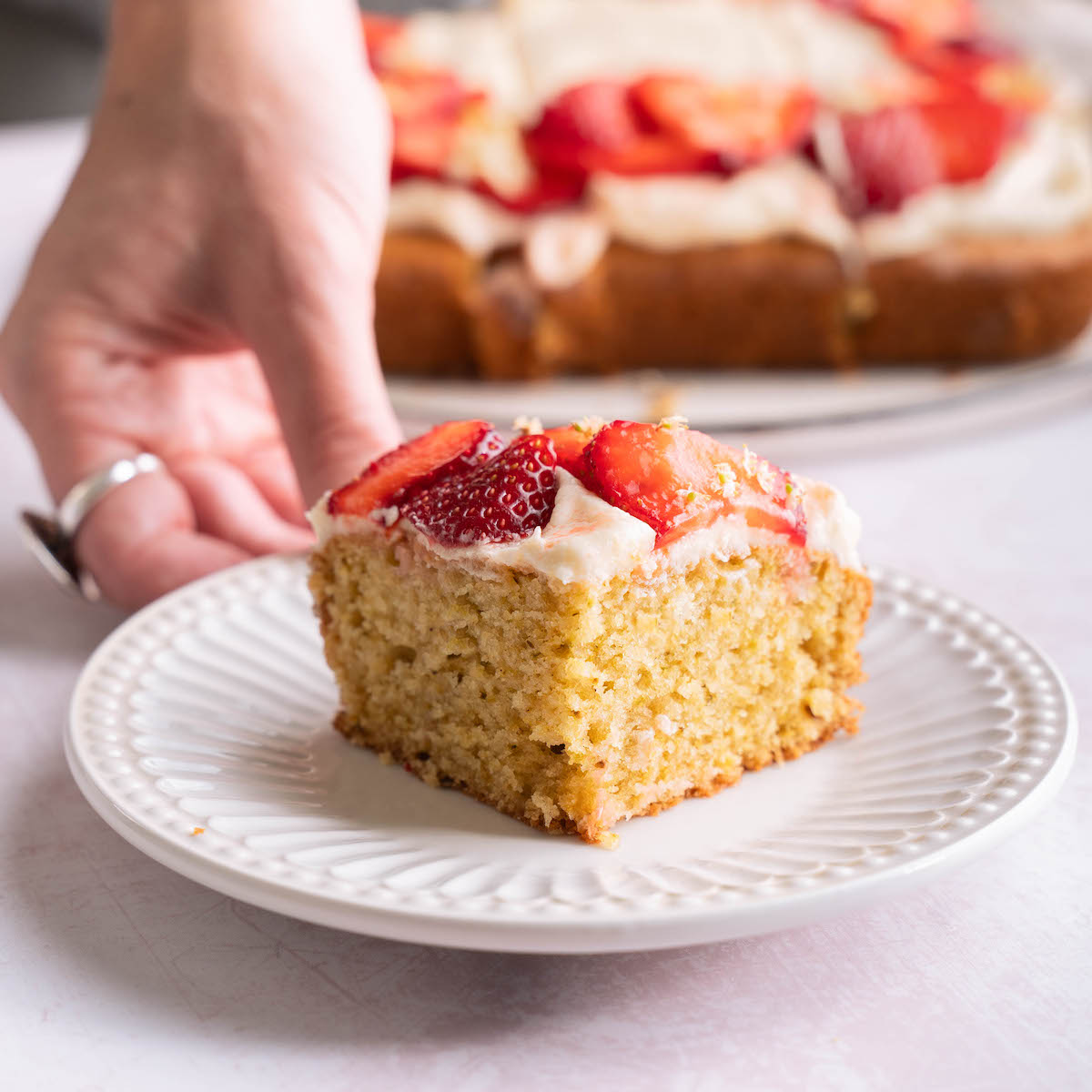 A slice of cake on a plate