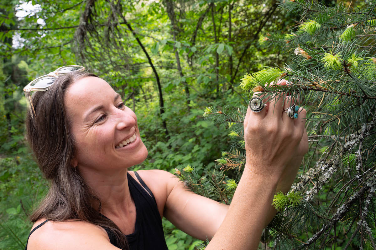 Karie harvesting Douglas fir tips