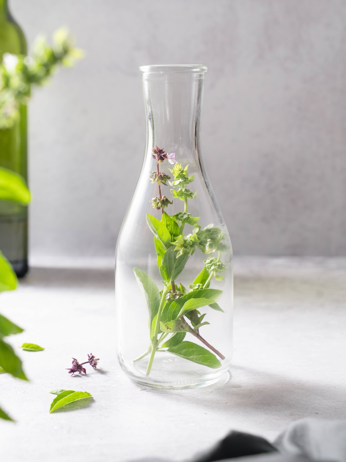 Flowering basil tops in a clear glass jar