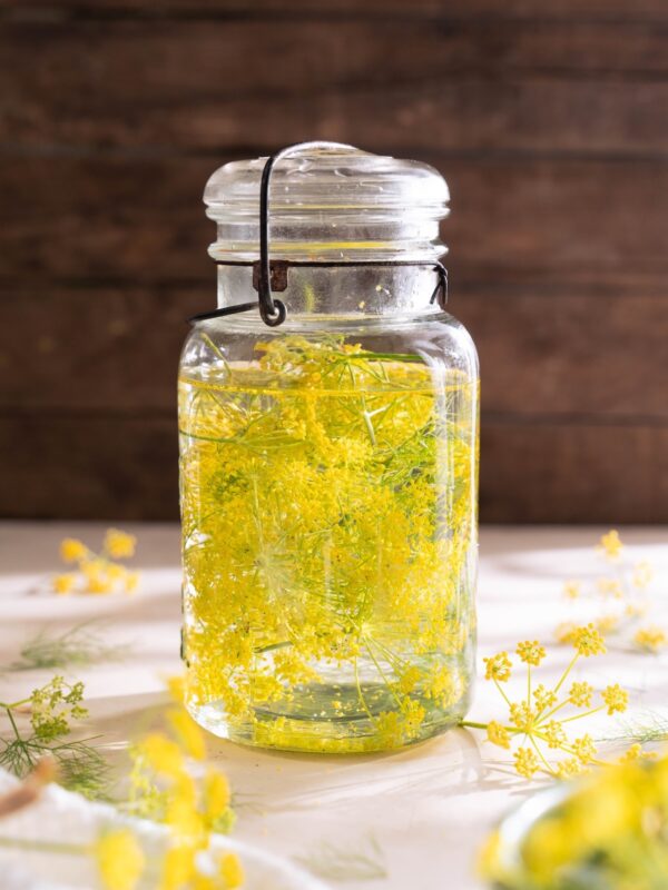A jar full of vodka and fresh fennel flowers