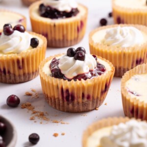 Mini huckleberry cheesecakes topped with huckleberry compote and whipped cream
