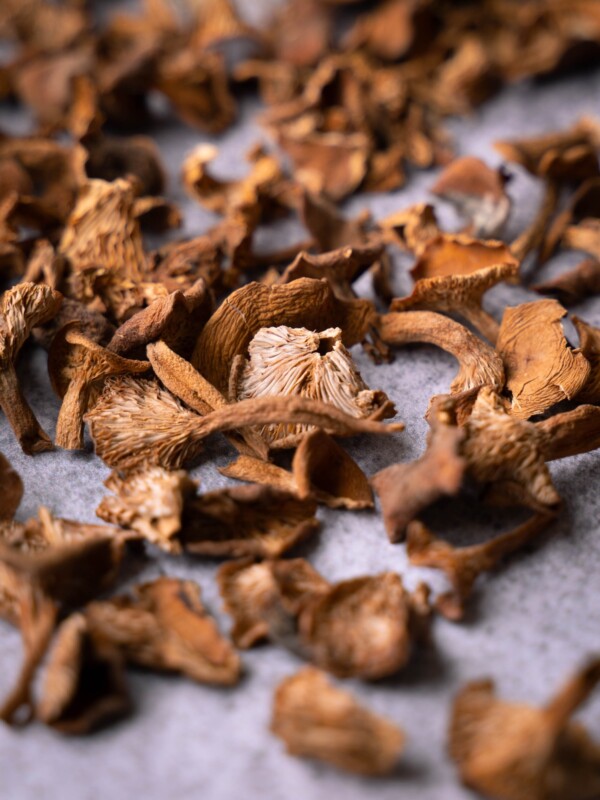 A pile of dried candy cap mushrooms