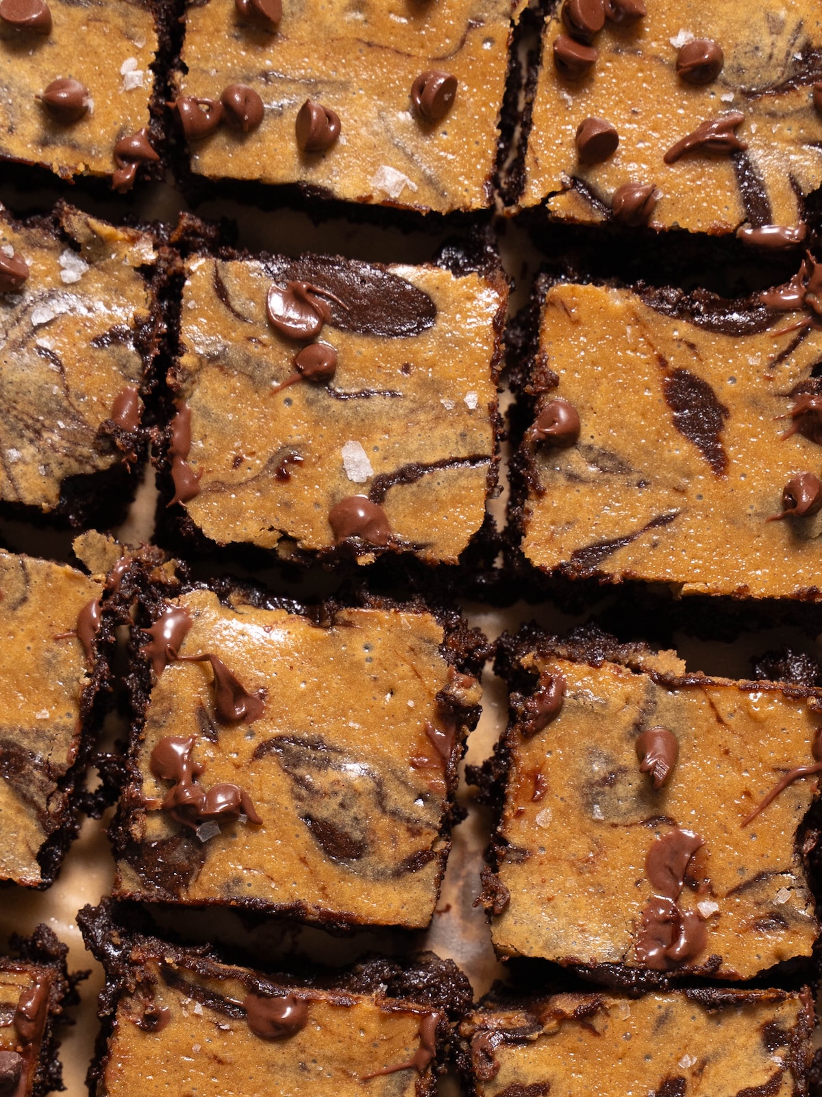 Little fudgy brownies cut into squares