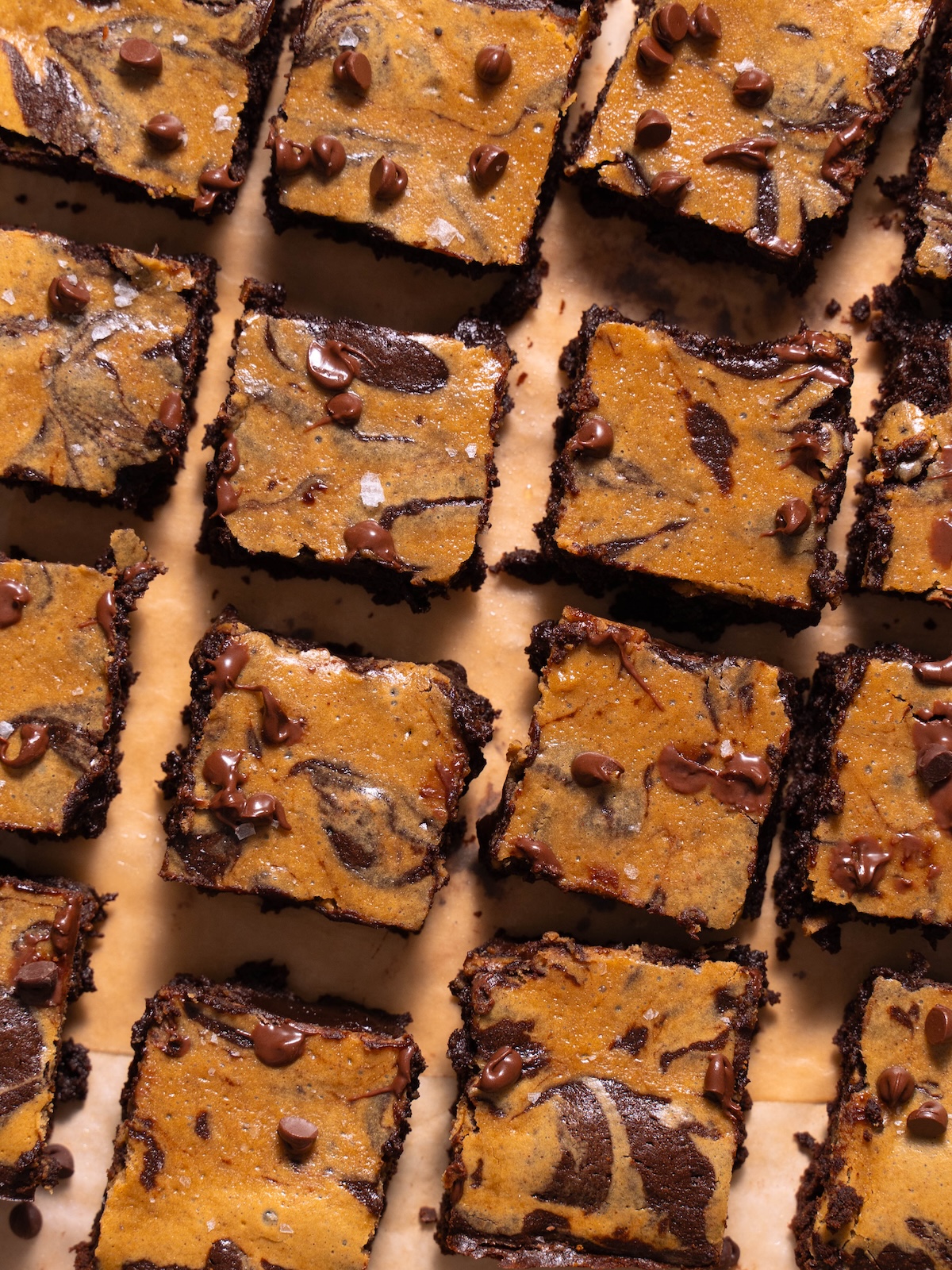 Gingerbread chocolate brownies cut into small squares
