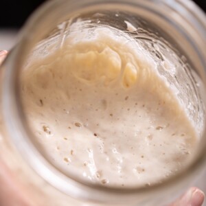 Looking into a jar of sourdough starter