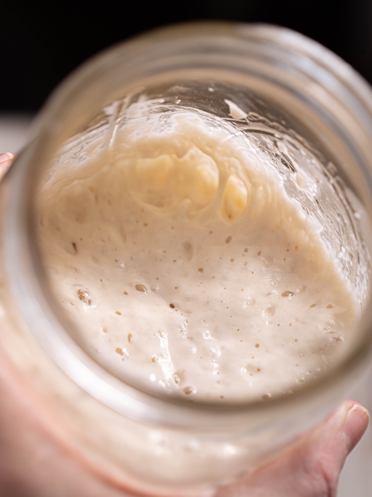 Looking into a jar of sourdough starter
