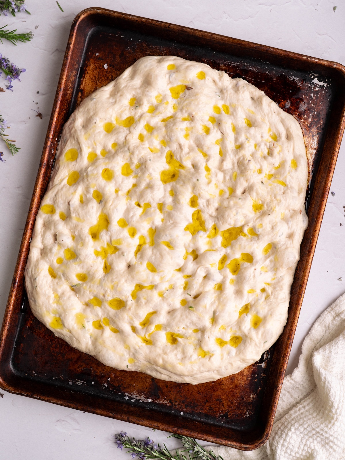 Focaccia dough, dimpled and drizzled with olive oil