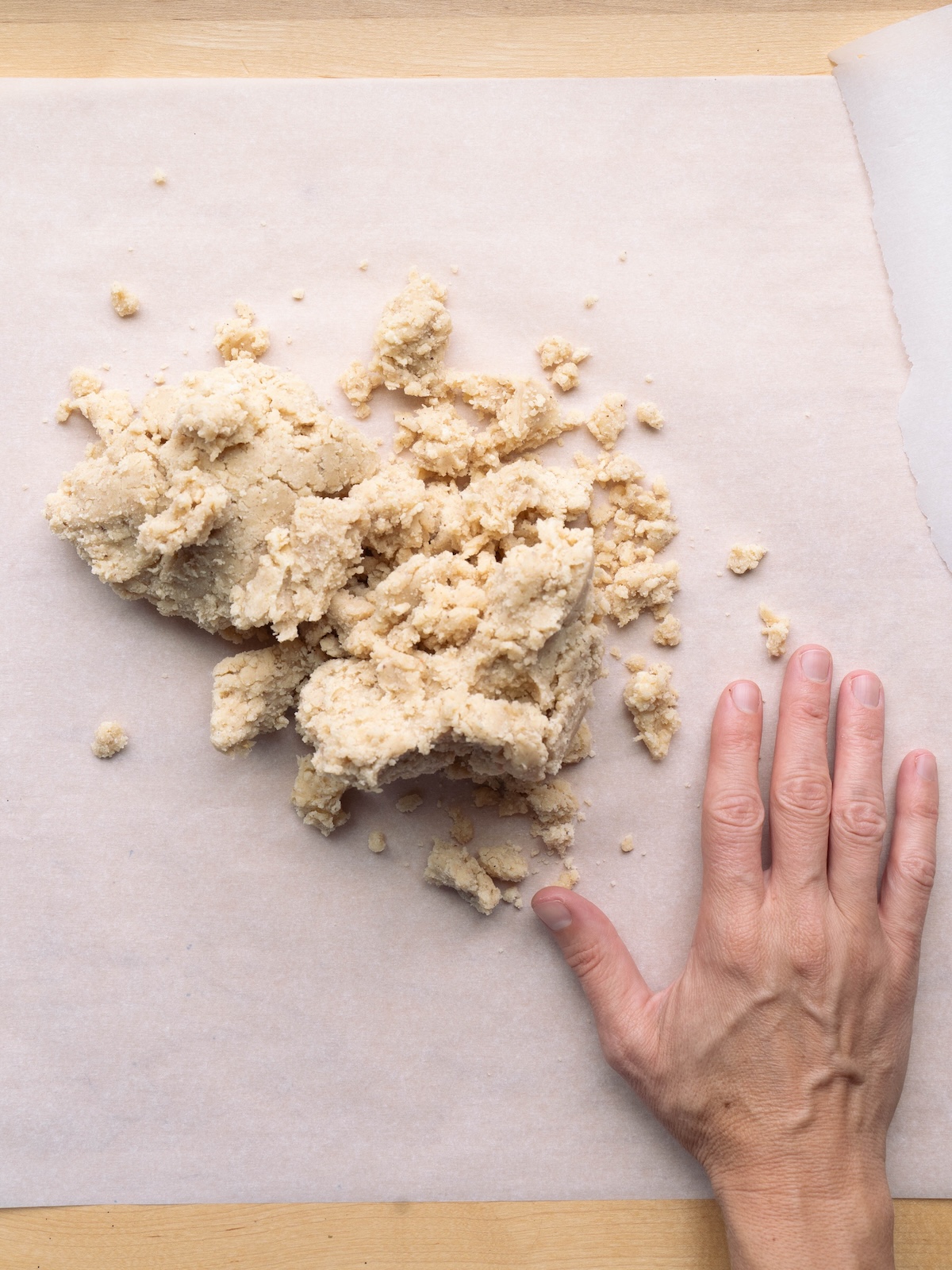 Rough, shaggy shortbread dough in beginning stage
