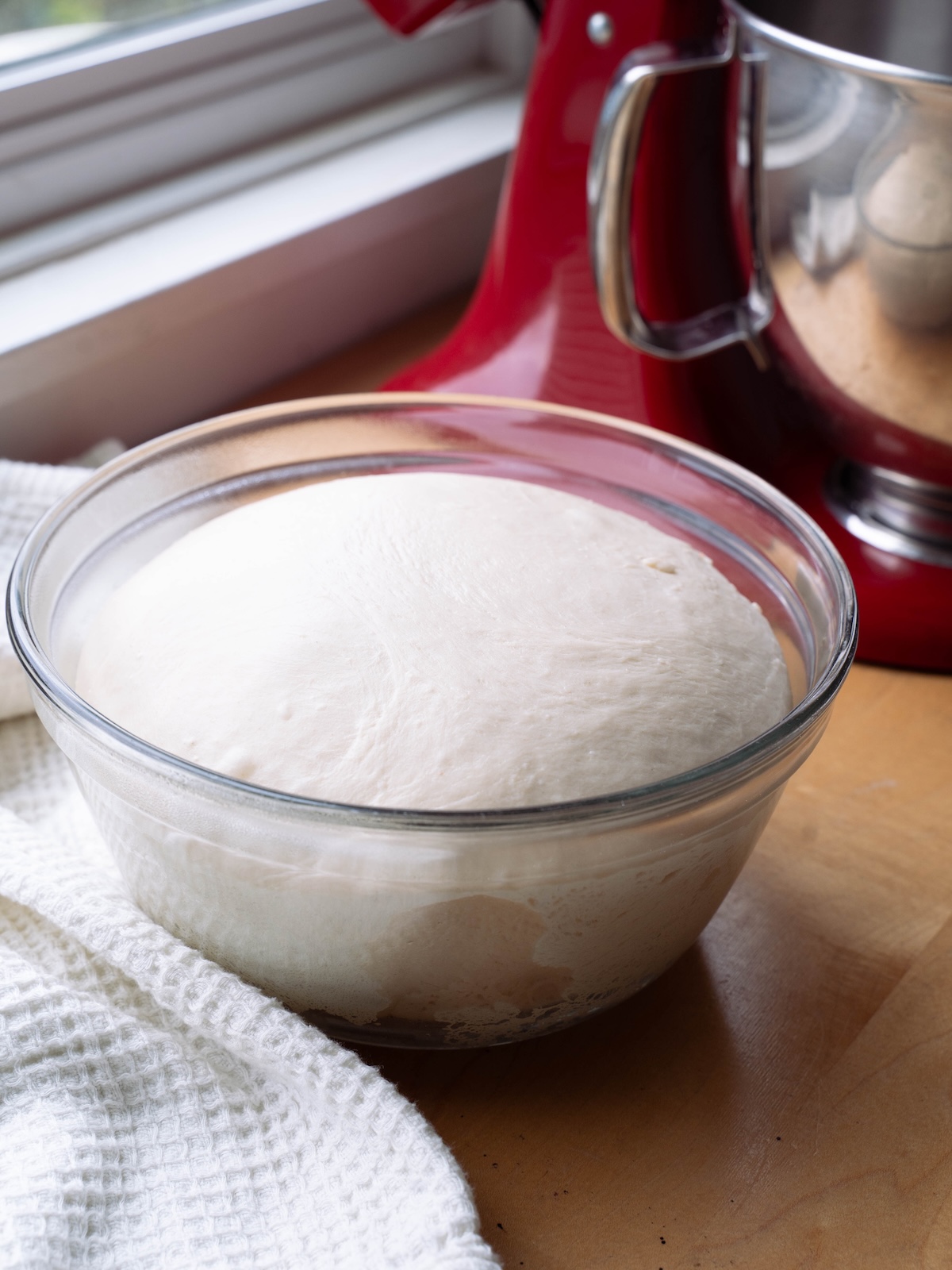 Bread in a bowl dough after rising all night