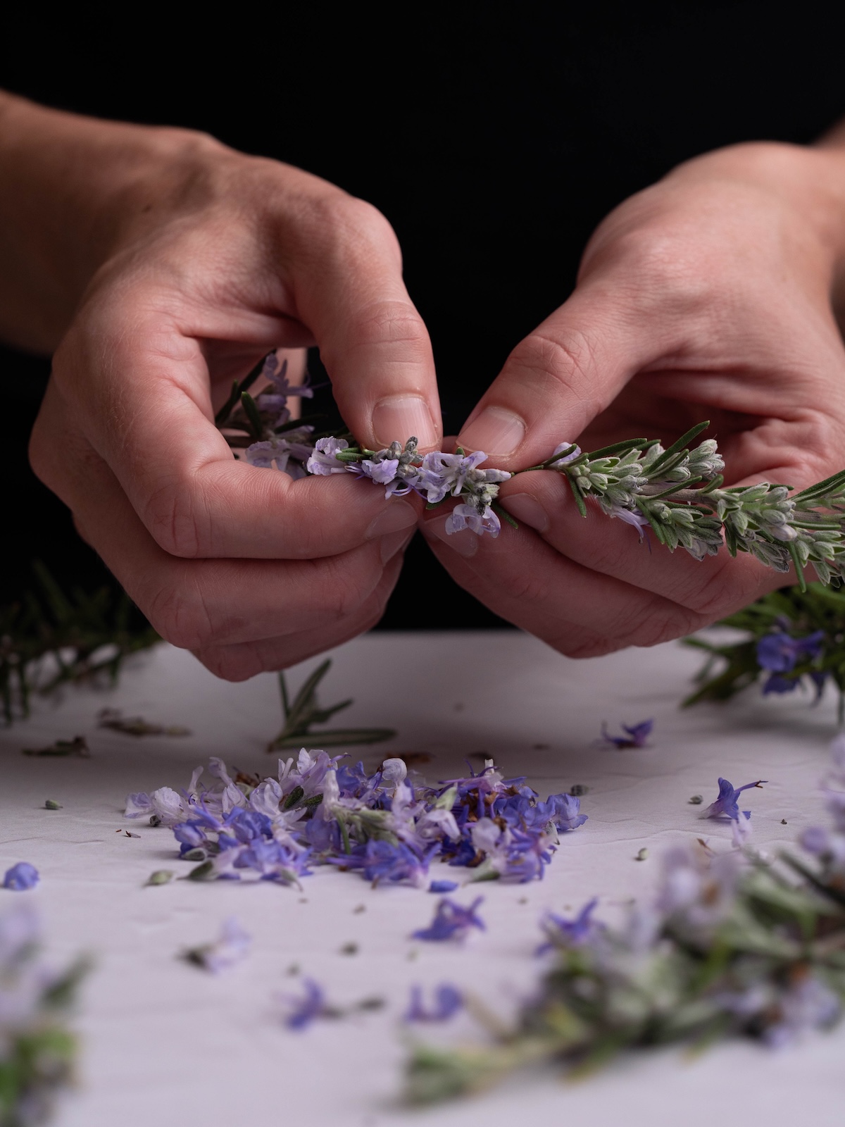 Plucking rosemary flowers off a rosemary branch