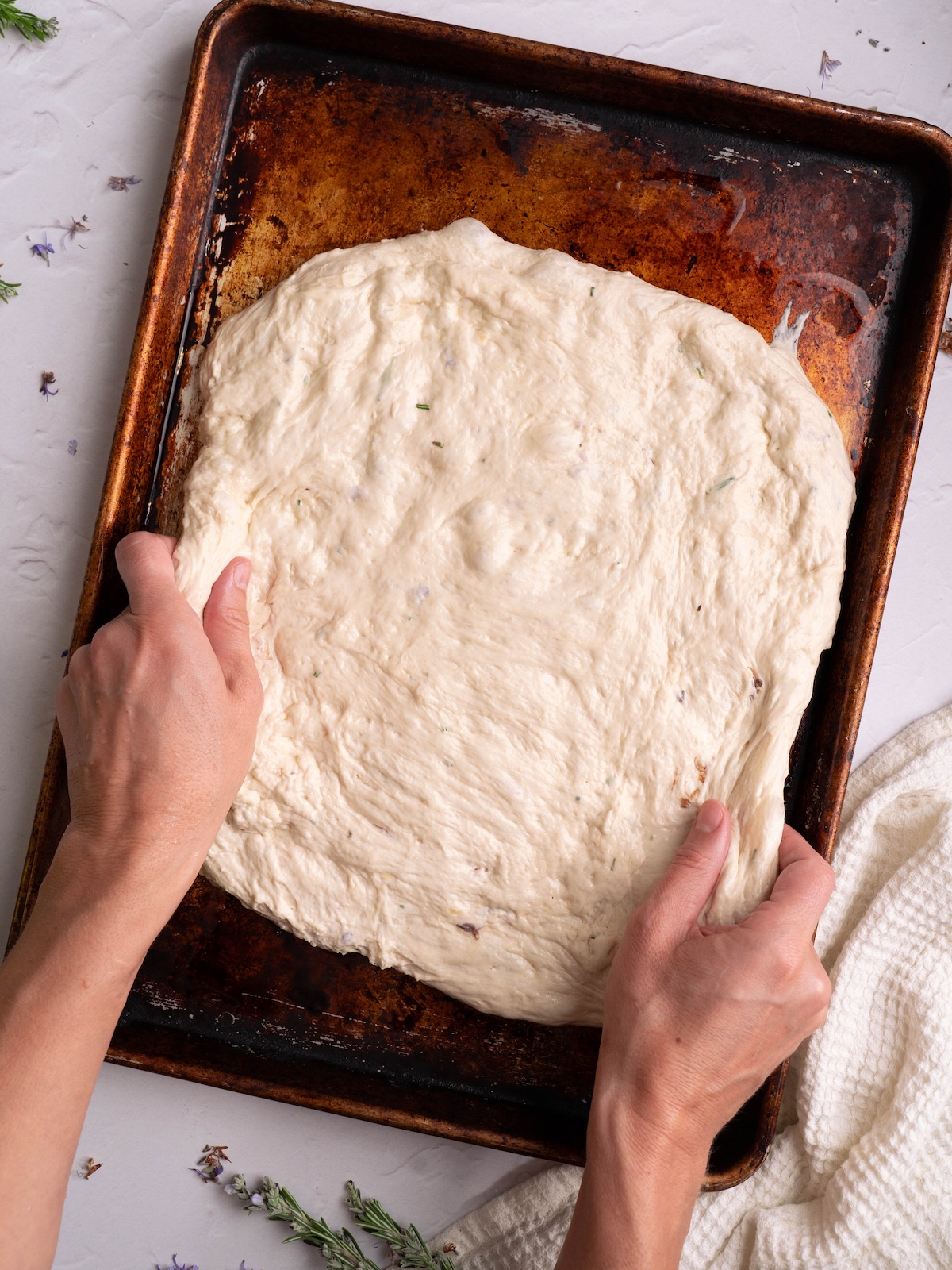 Hands gently stretching sourdough discard focaccia dough