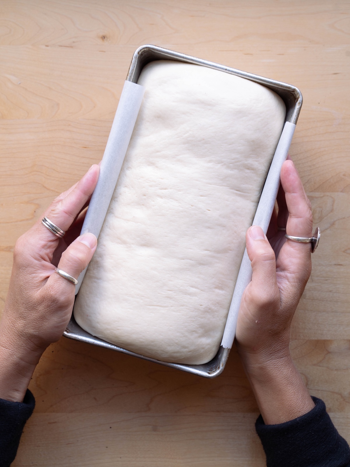 Sourdough sandwich bread dough proofed in a loaf pan and ready to bake