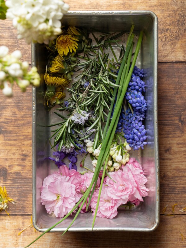 Edible spring flowers of the Pacific Northwest, in a metal pan