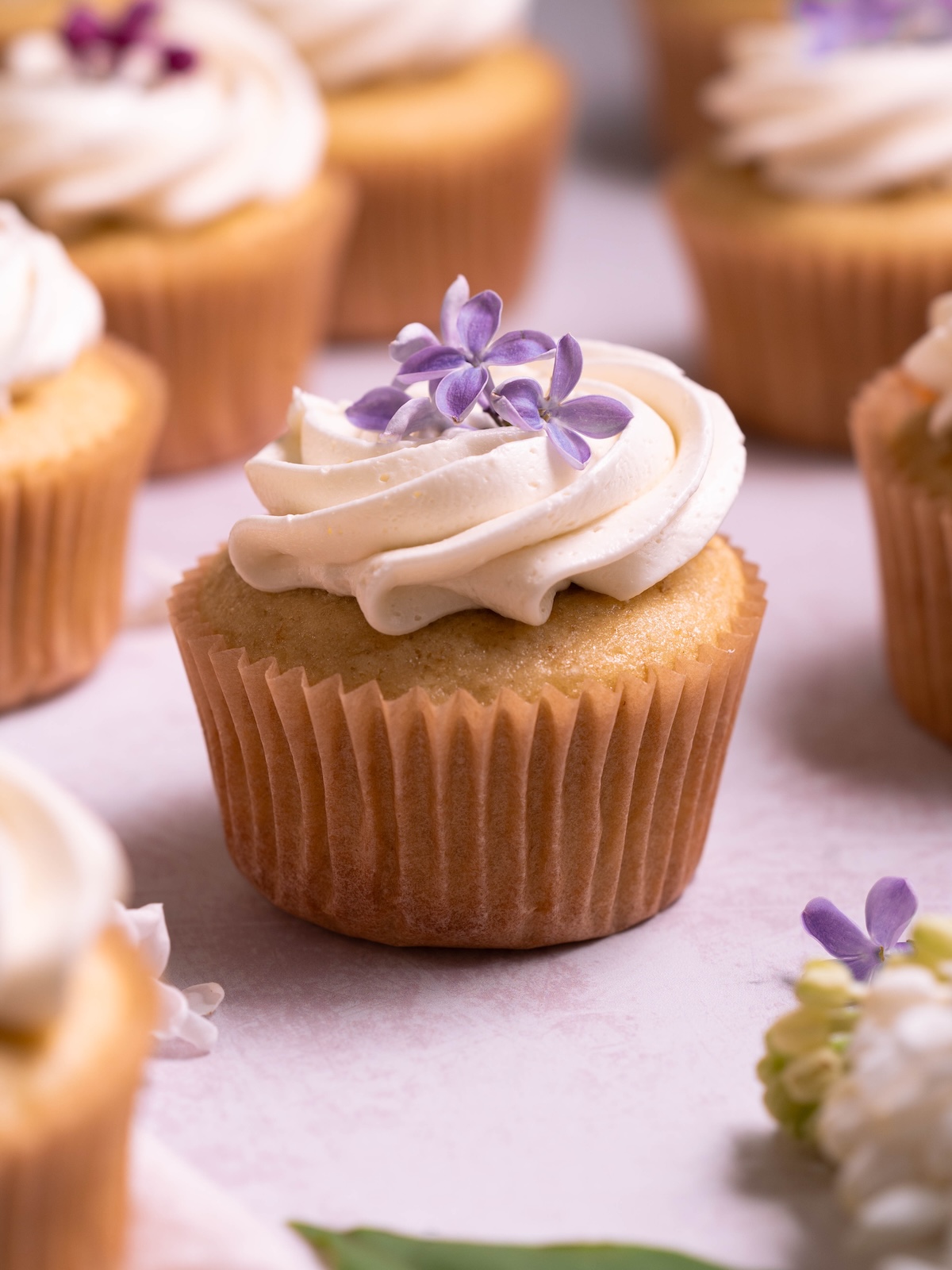 A cupcake topped with lilac buttercream and fresh lilac flowers