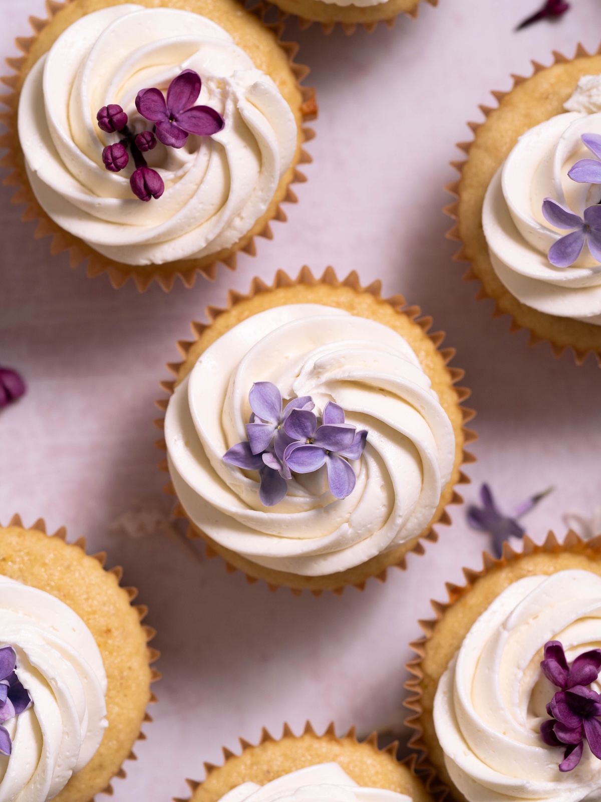 An aerial view of fresh lilac cupcakes