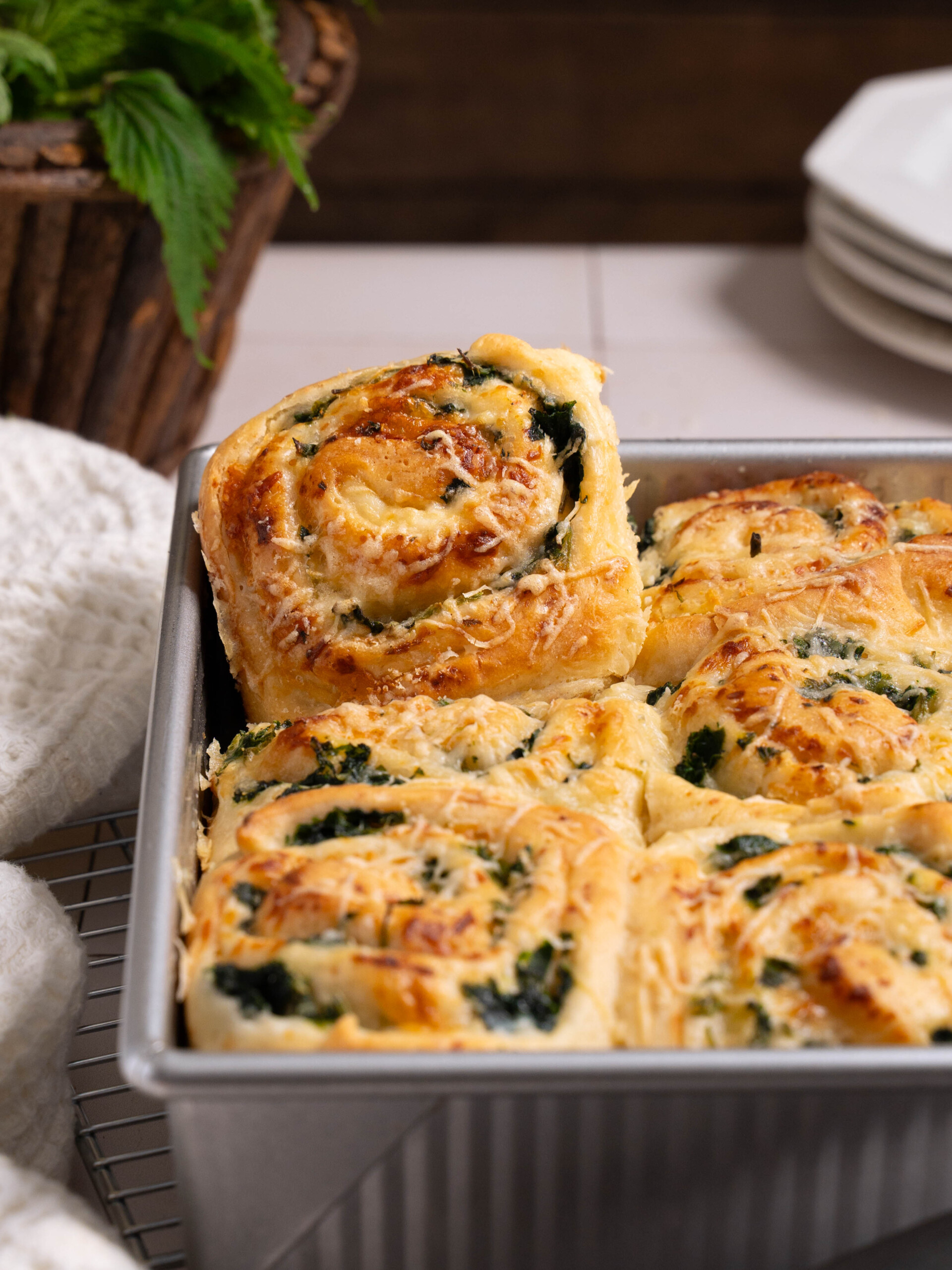 A pan full of savory nettle ricotta rolls topped with parmesan