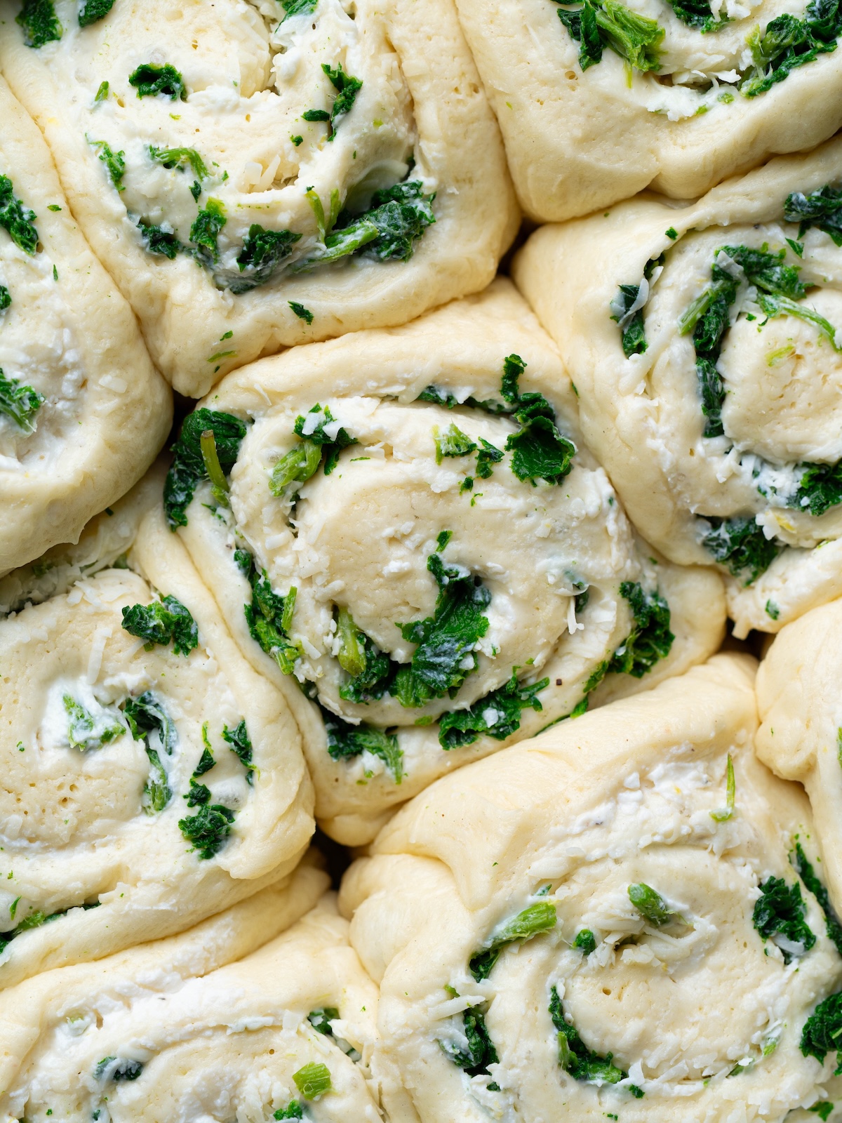 Nettle ricotta rolls, proofed and ready to bake