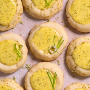 Lemon cookies filled with lemon curd and fir tip sugar