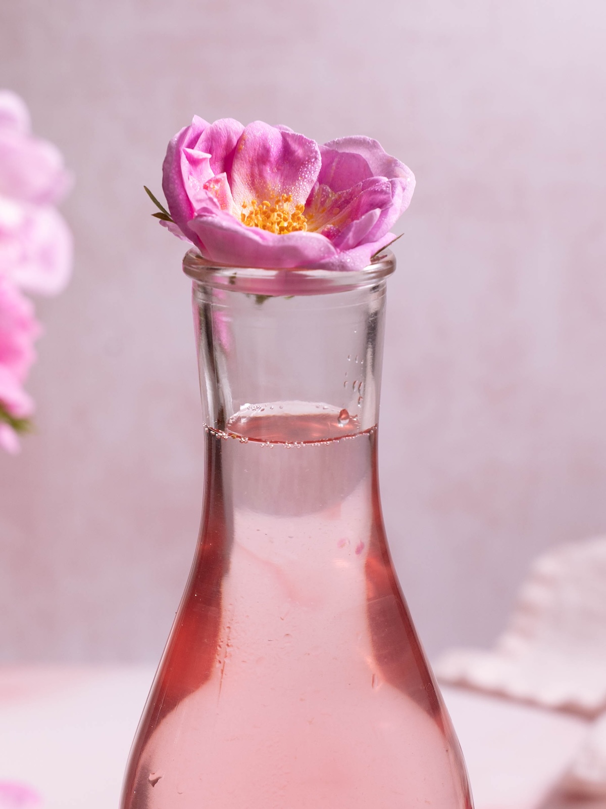A wild rose sitting on top of a jar of rose syrup