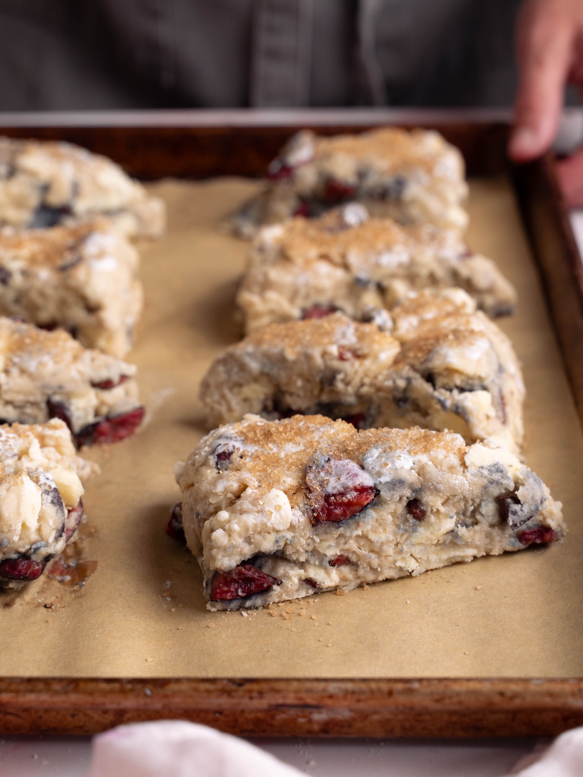 Fresh cherry scones on a baking sheet, ready to go in the oven