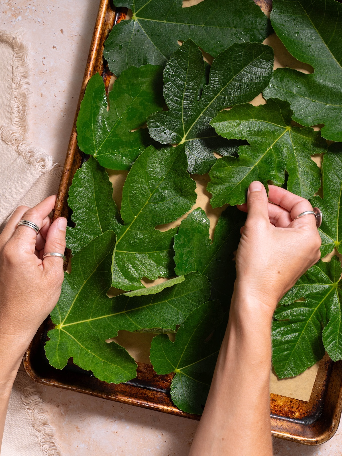 Placing fresh fig leaves on a baking sheet