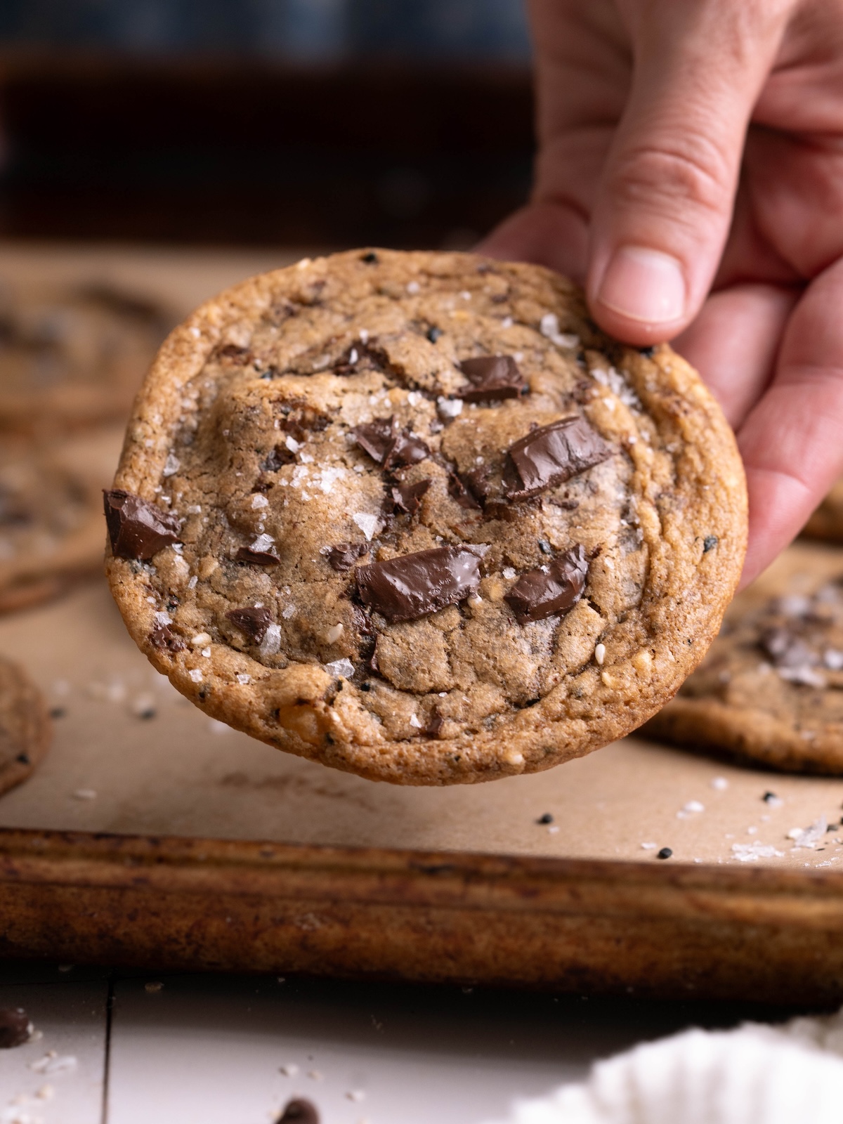 Hand holding a chocolate chip cookie full of candied ginger and sesame seeds