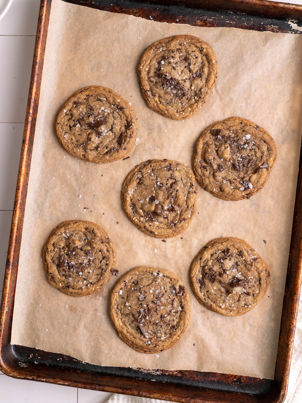 Chocolate chip cookies fresh out of the oven