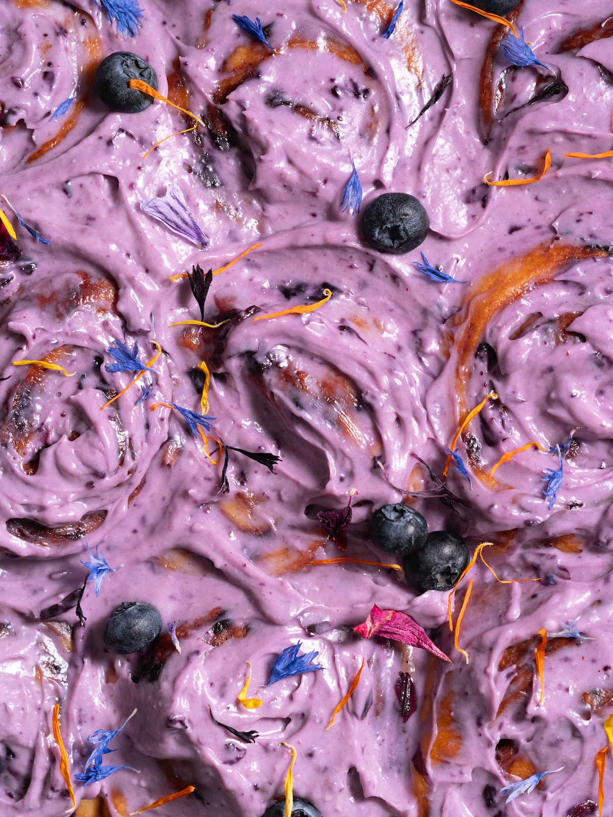 Closeup of blueberry cinnamon rolls frosted with blueberry cream cheese icing