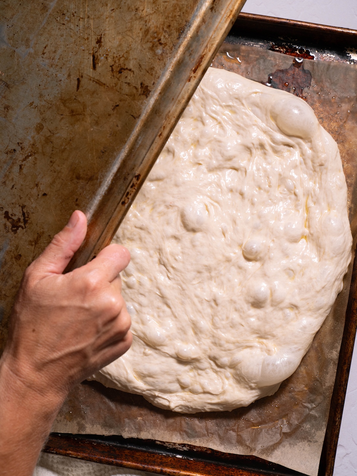 Covering bubbly bread down with a sheet pan
