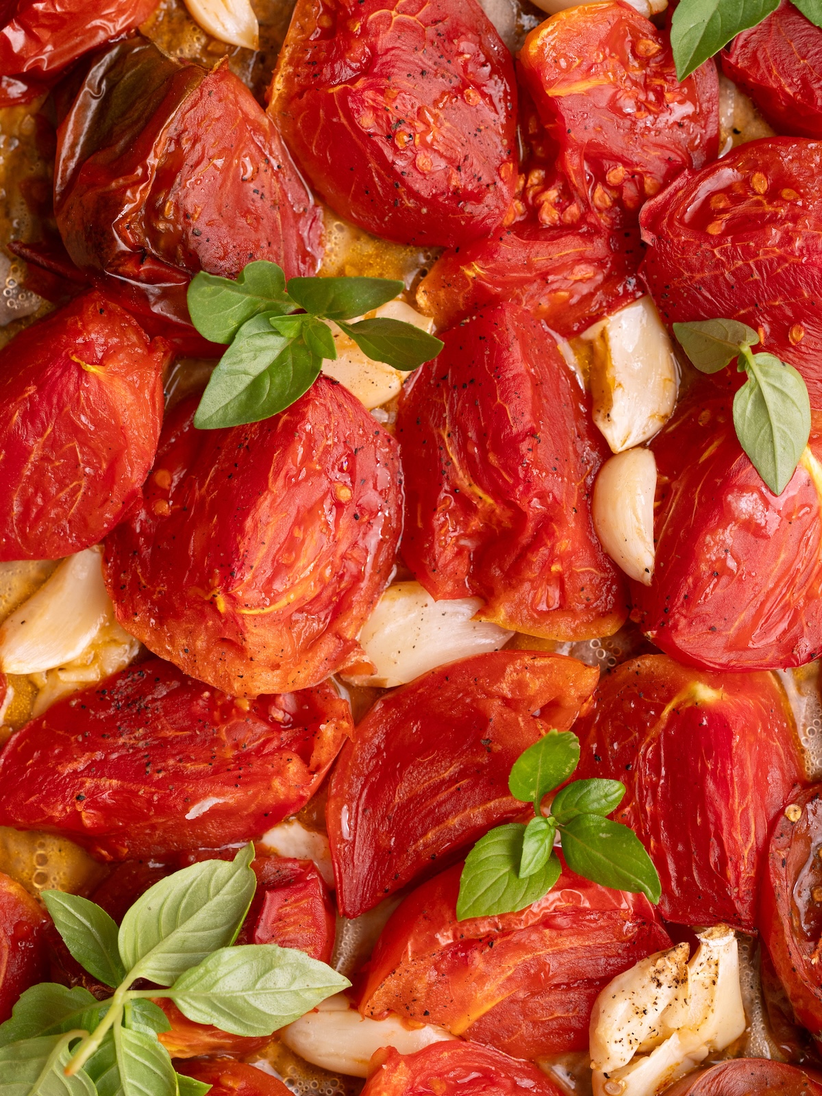 Roasted tomatoes, garlic cloves, and fresh basil on a baking sheet
