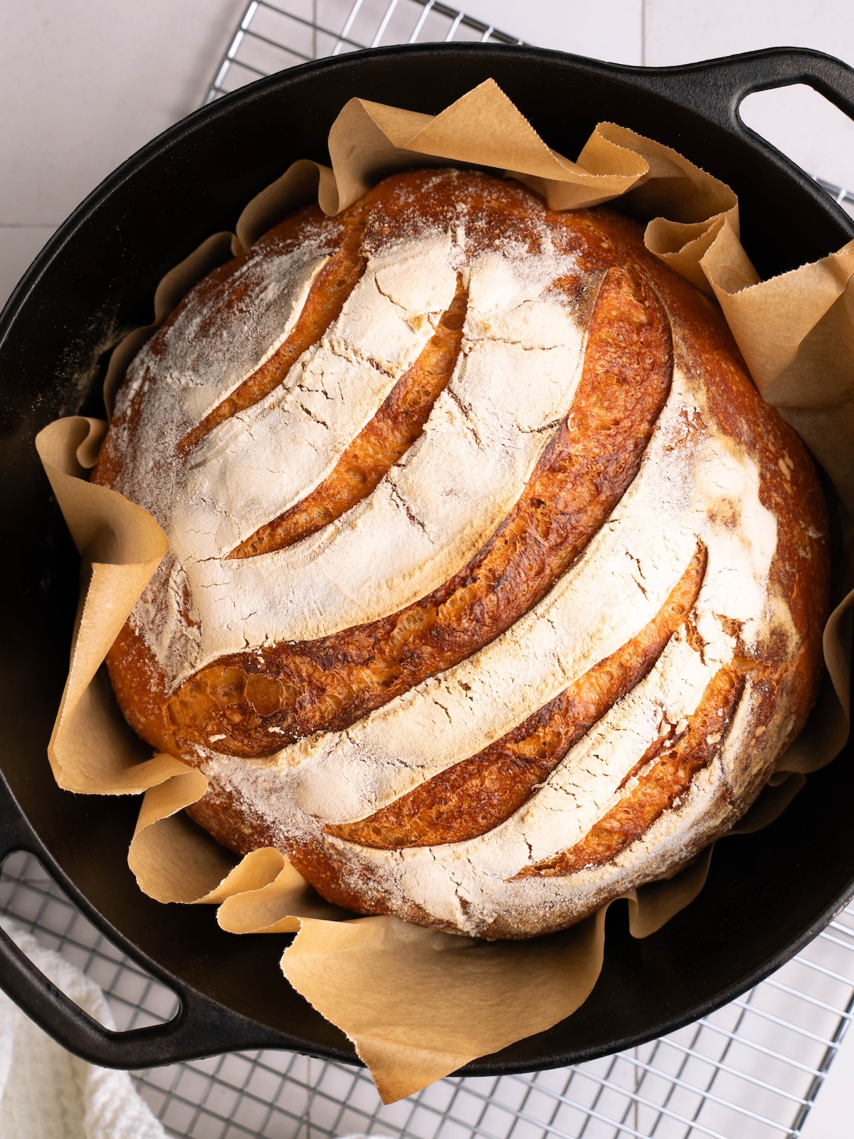 A fresh loaf of sourdough, straight out of the oven in a cast iron Dutch oven