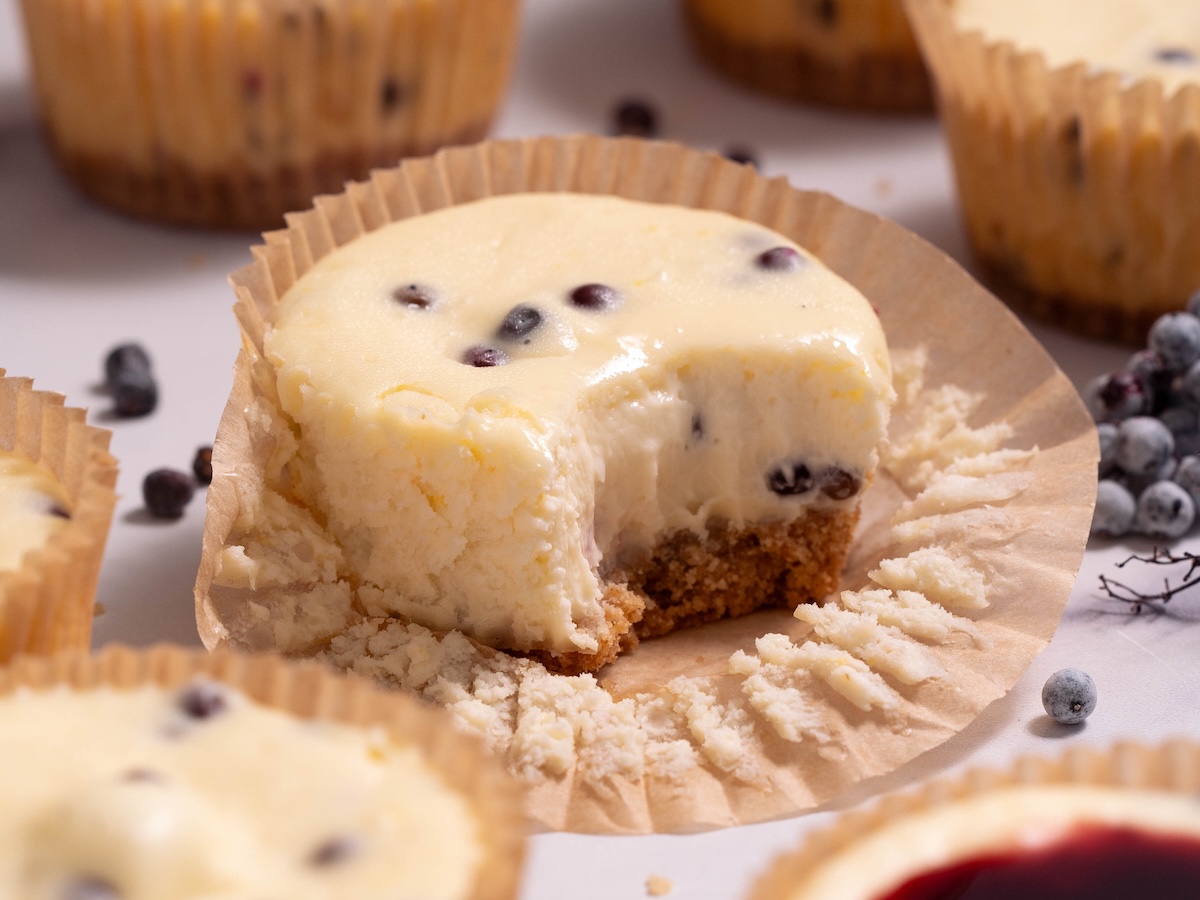 A mini elderberry cheesecake with a bite taken out of it