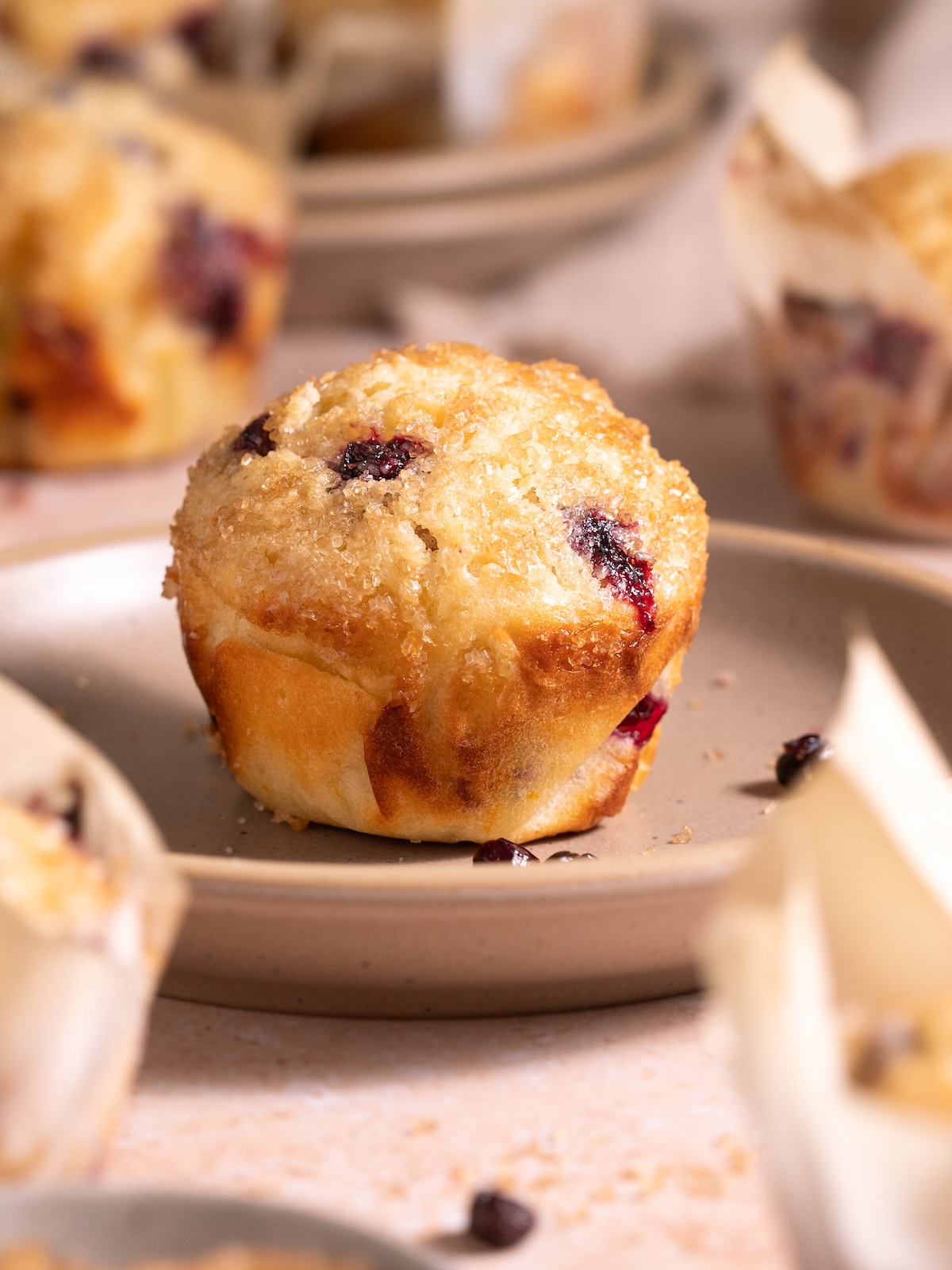 A sourdough huckleberry muffin with crunchy sugar topping on a plate