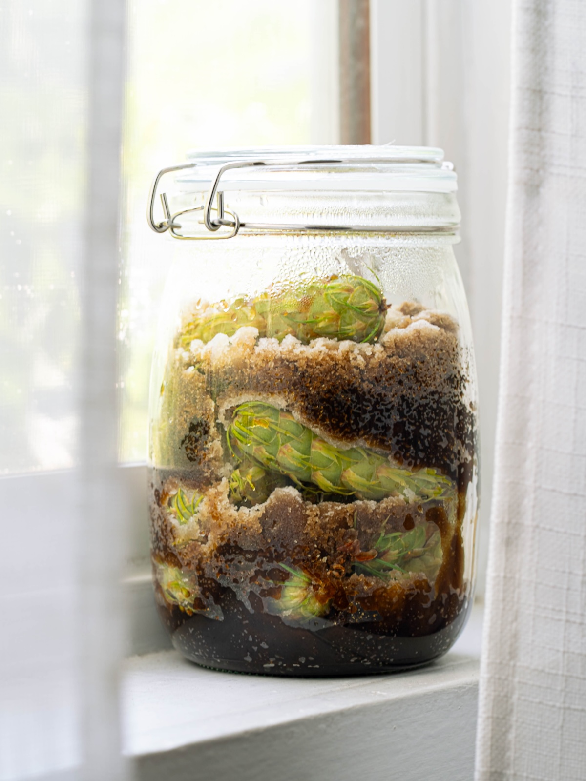 Pine cones and brown sugar layered in a jar on a windowsill