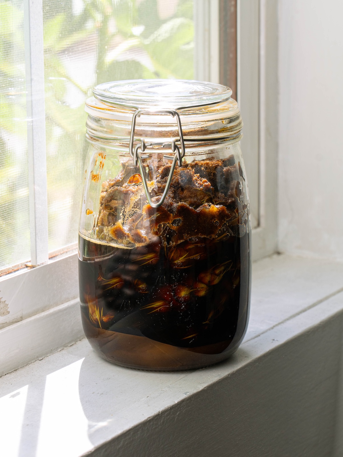 Pine cone syrup macerating on a windowsill