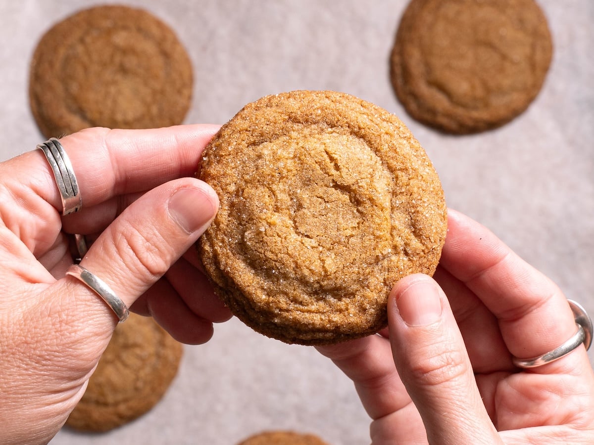 Hands holding a soft pine cone molasses cookie